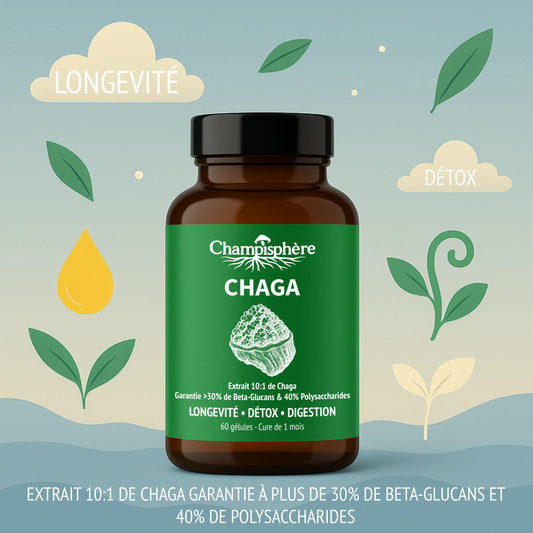 Gélules Chaga Longévité ● Detox ● Digestion