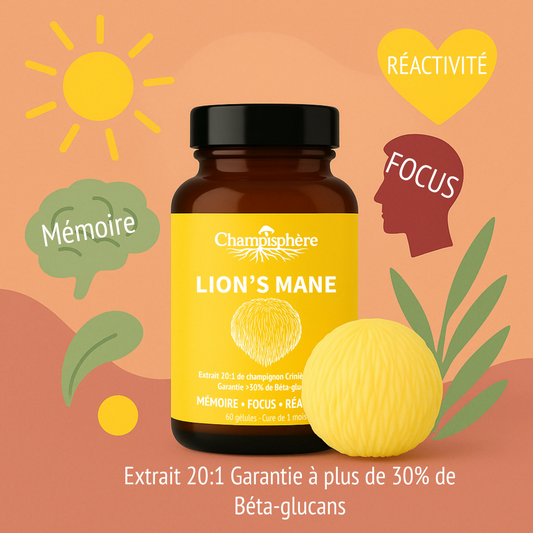Gélules Lion's mane Mémoire ● Focus ● Réactivité