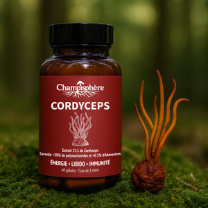 LE CORDYCEPS