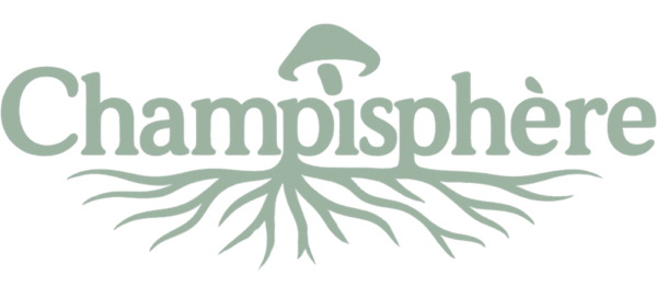 Champisphère